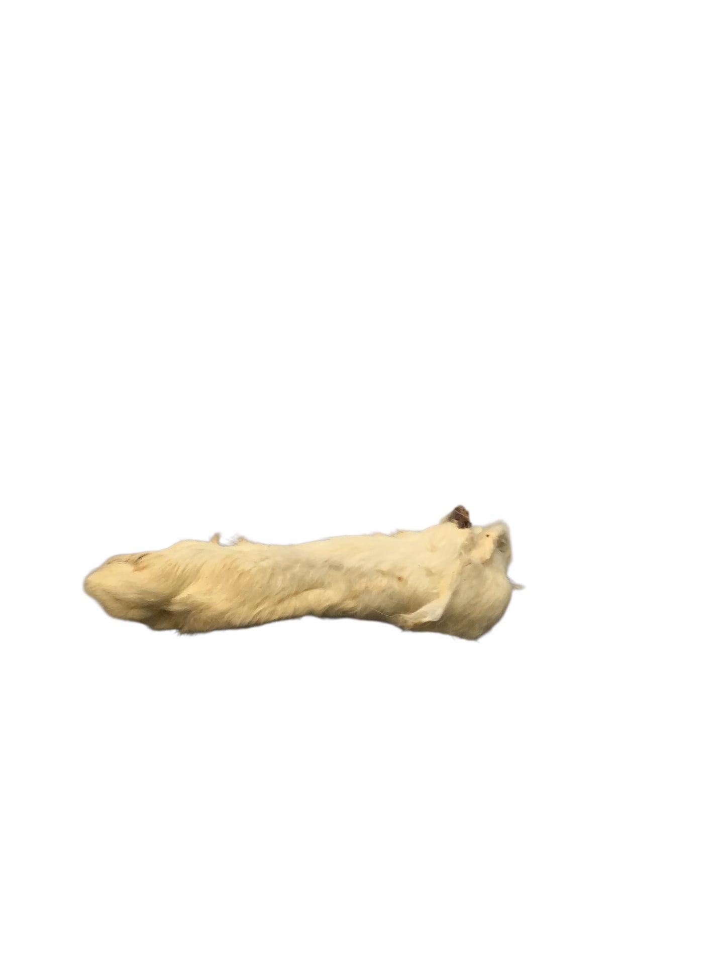 Rabbit feet