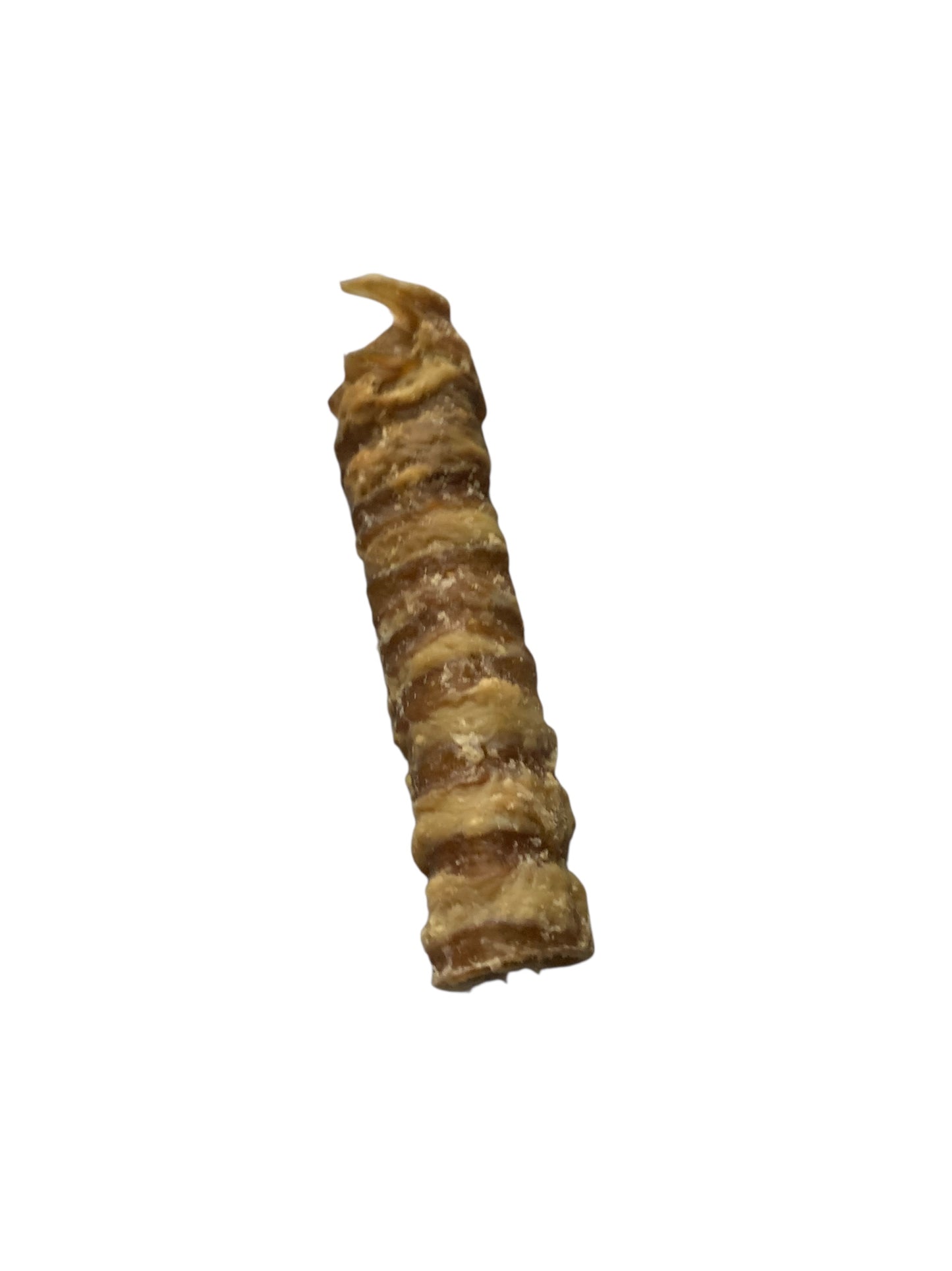 Beef trachea
