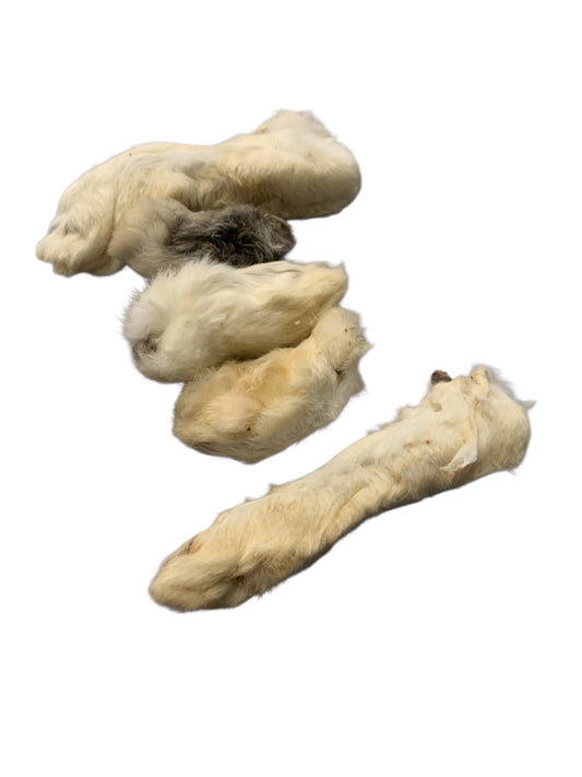 Rabbit feet