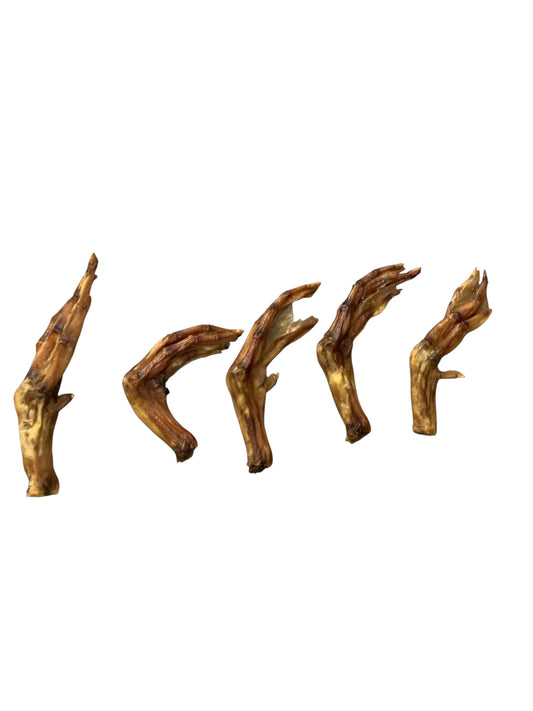 Duck feet